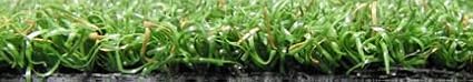 Professional Synthetic Nylon Turf Artificial Grass Indoor or Outdoor Practice Putting Golf Green 12 feet x 15 feet with 3 Precut Holes