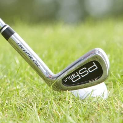The Little One 7 Iron Right Hand Swing Trainer for Adults: Golf Training Aid for Finding The Sweet Spot (Reg Flex)