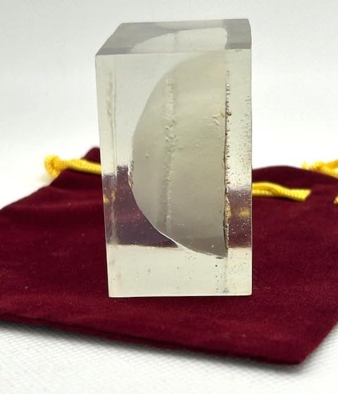 Authentic Feathery Lion Half Golf Ball in Resin Showing Feathers Paperweight