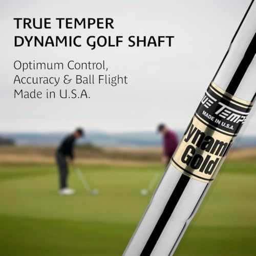 Golf Swing Training Aid Club – Smaller Clubface for Better Ball-Striking & Instant Feedback | Swing Trainer to Improve Accuracy & Consistency | True Temper Shaft & ICON Grip