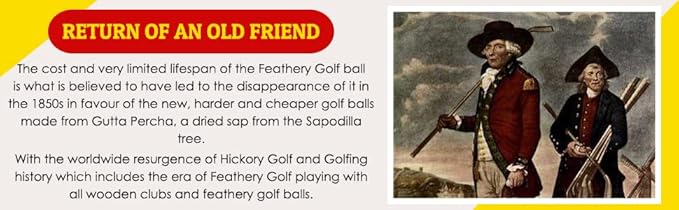 Authentic Feathery Lion Half Golf Ball in Resin Showing Feathers Paperweight