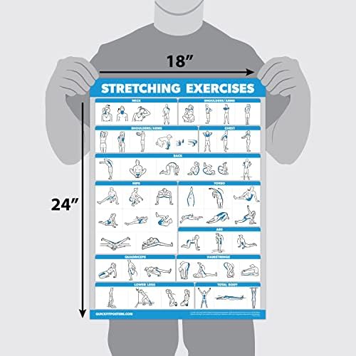 Palace Learning QUICKFIT Stretching Workout Exercise Poster - Stretch Routine (Laminated, 18" x 24")