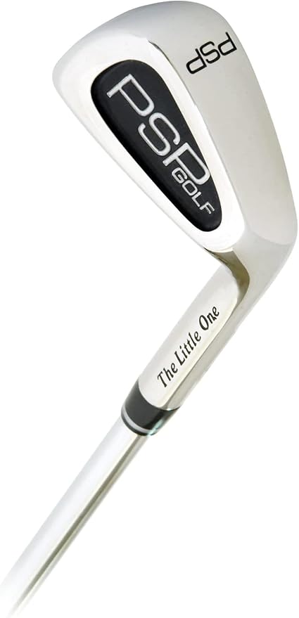 The Little One 7 Iron Right Hand Swing Trainer for Adults: Golf Training Aid for Finding The Sweet Spot (Reg Flex)