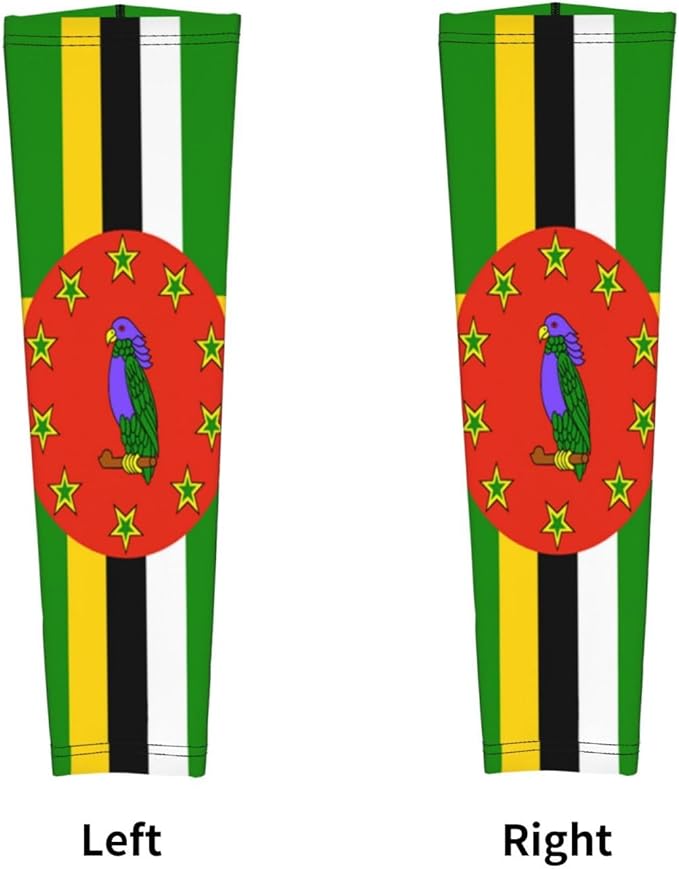 Flag Arm Sleeves Filipino Flag Compression Arm Sleeves for Men Women Tattoo Cover Up Cooling Arm Sleeve 1 Pair