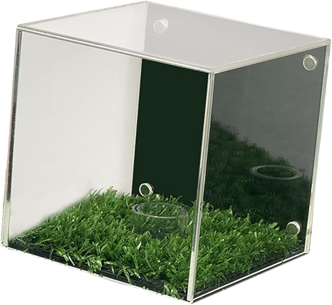 YIJU Golf Ball Display Case Memorabilia Stand Cube Holder Accessories Dustproof Multiuse Transparent Baseball Holder