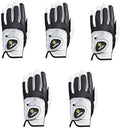 HIRZL Trust Control 2.0 Golf Gloves, All Weather Mens Golf Glove, White/Black, Kangaroo Leather Palm, Cabretta Leather Backhand, Trusted by Pro’s, Sweat Free, Ultimate Grip