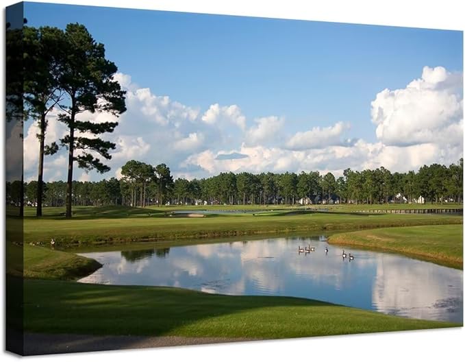chenchenArt South Carolina Myrtle Beach Wall Art for Living Room Bedroom Bathroom Home Decorations Paintings Canvas Prints Framed Ready to Hang(12''H x 16''W)