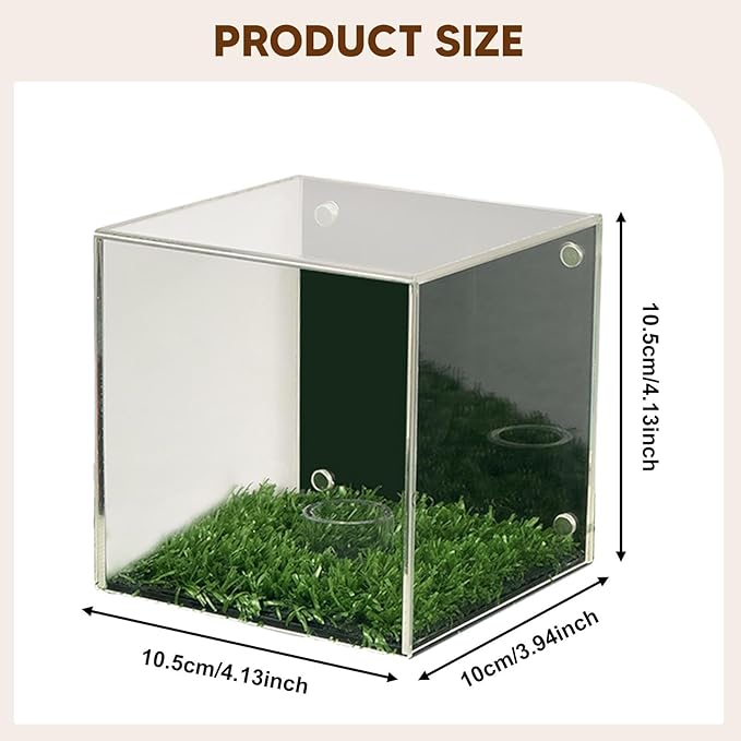 YIJU Golf Ball Display Case Memorabilia Stand Cube Holder Accessories Dustproof Multiuse Transparent Baseball Holder
