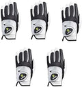 HIRZL Trust Control 2.0 Golf Gloves, All Weather Mens Golf Glove, White/Black, Kangaroo Leather Palm, Cabretta Leather Backhand, Trusted by Pro’s, Sweat Free, Ultimate Grip