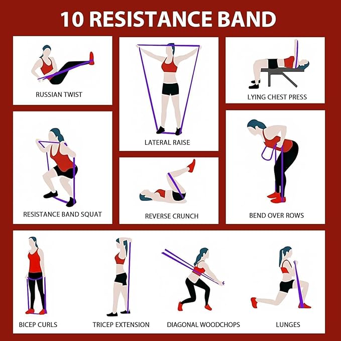 Resistance Bands for Working Out, 4-Levels Pull Up Bands Set, Stretch Bands for Exercise, Body Stretching, Muscle Training, Physical Therapy for Men Women, Carry Bag Included