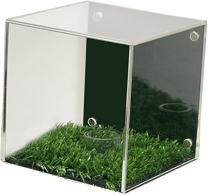 YIJU Golf Ball Display Case Memorabilia Stand Cube Holder Accessories Dustproof Multiuse Transparent Baseball Holder