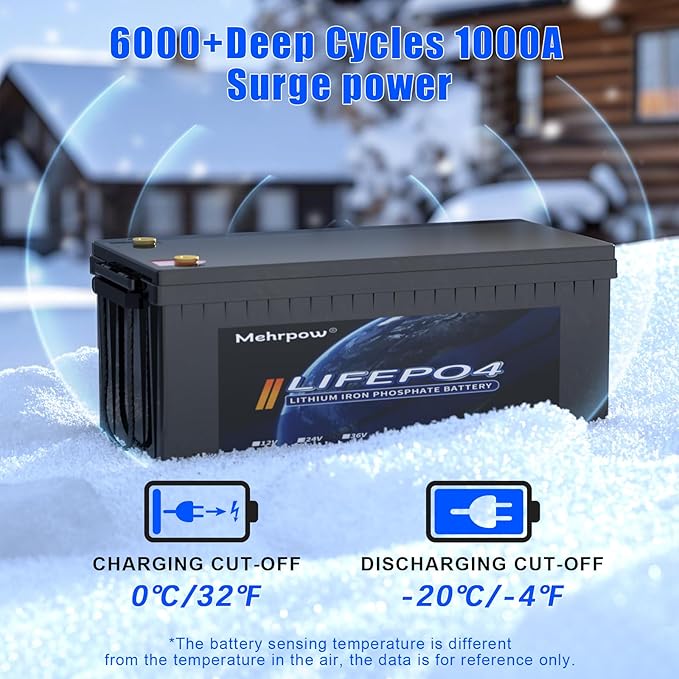 48V 100Ah Lithium Golf Cart Battery, Lifepo4 Battery with 58.4V 18A Charger and LCD Touch Monitor, Built-in Smart 200A BMS, Peak Current 1000A，Perfect for Golf Carts (48V100Ah with Charger)