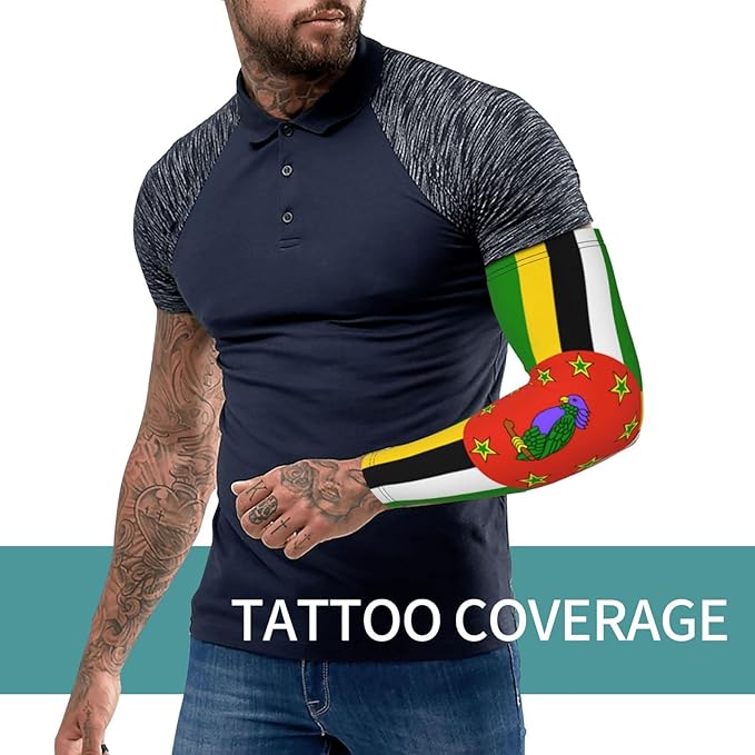 Flag Arm Sleeves Filipino Flag Compression Arm Sleeves for Men Women Tattoo Cover Up Cooling Arm Sleeve 1 Pair