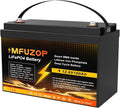 12V 100Ah LiFePO4 Lithium Battery, Built-in 100A BMS, Max. 20000+ Deep Cycles, Rechargeable Lithium Battery for RV, Solar System, Marine, Trailer, Home Energy Storage（Group 31）