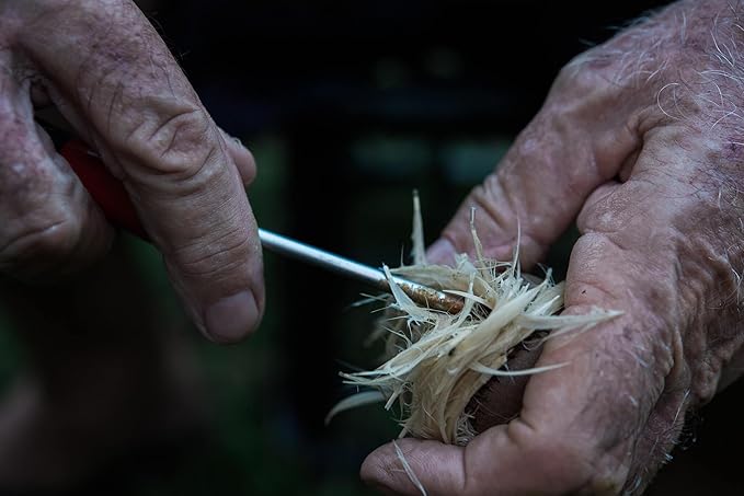 Authentic Feathery Lion Half Golf Ball in Resin Showing Feathers Paperweight