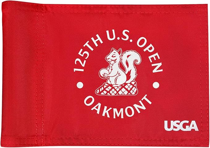 2025 Themed Mini Golf Flag, 8x6 Inch, Double-Sided Silk-Printed, Durable 420D Nylon, Ideal for Backyard Practice Putting Green