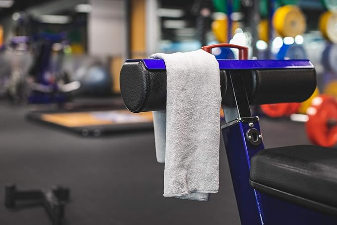 The Rag Company - Sport & Workout Towel - Gym, Exercise, Fitness, Spa, Ultra Soft, Super Absorbent, Fast Drying Premium Microfiber, 320gsm, 16in x 27in, Lavender - Pack of 3