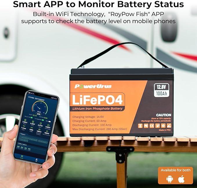 12V 100Ah LiFePO4 Lithium Battery with Smart APP, 4000-8000 Deep Cycle LiFePO4 Battery, Built-in 100A BMS, Wireless Real-Time Battery Monitor Function for RV, Marine, Off Grid Applications