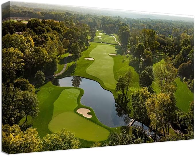 chenchenArt USA Ohio Golf Course Wall Art for Office Living Room Bedroom Home Decorations Ohio Golf Course Picture Poster Canvas Prints Modern Artwork Framed Ready to Hang(12''H x 16''W)