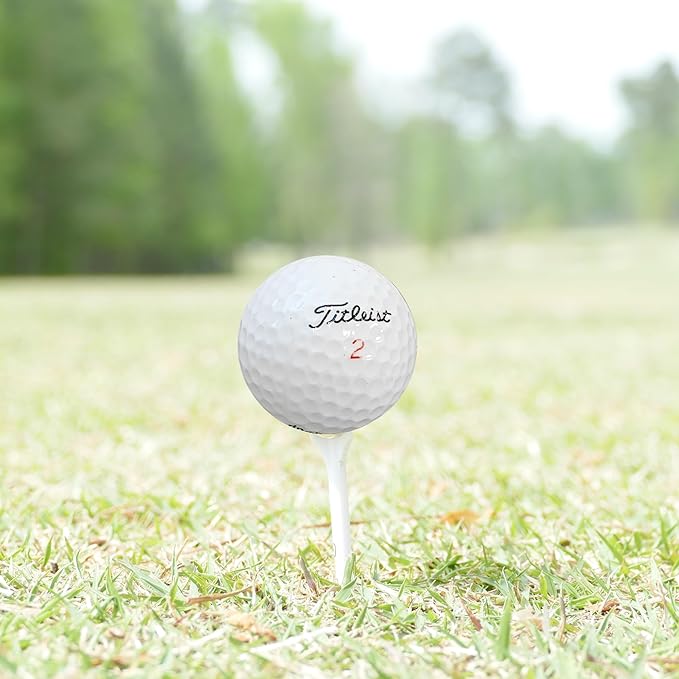 Golf Ball nut - 48 Used Golf Balls – Recycled Premium Brands Assorted Mix for Practice & Play – 5A/4A Premium Condition Mix – Includes Mesh Bag – Budget-Friendly & Sustainable Golf Balls