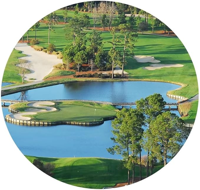 chenchenArt King's North Golf Course Wall Art for Living Room Bedroom Bathroom Home Decorations Myrtle Beach National Club Picture Canvas Prints Modern Artwork Framed Ready to Hang(24''H x 36''W)
