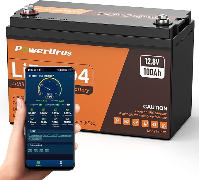 12V 100Ah LiFePO4 Lithium Battery with Smart APP, 4000-8000 Deep Cycle LiFePO4 Battery, Built-in 100A BMS, Wireless Real-Time Battery Monitor Function for RV, Marine, Off Grid Applications