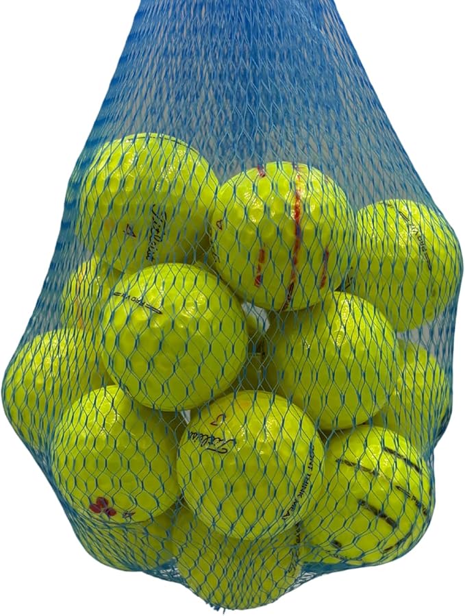 Golf Ball Planet Pro V1x 2023 4A/Near Mint Recycled Used Golf Balls for Titleist 2023/2024 Model Great Condition