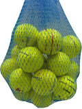 Golf Ball Planet Pro V1x 2023 4A/Near Mint Recycled Used Golf Balls for Titleist 2023/2024 Model Great Condition