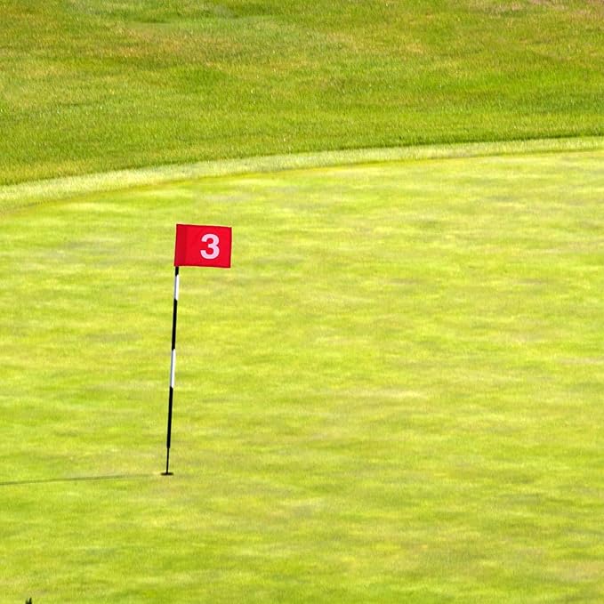 Ciieeo Numbered Golf Markers 4Pcs Red Putting Area Flags Sturdy Outdoor Practice Training for Golf Course and Backyard Use