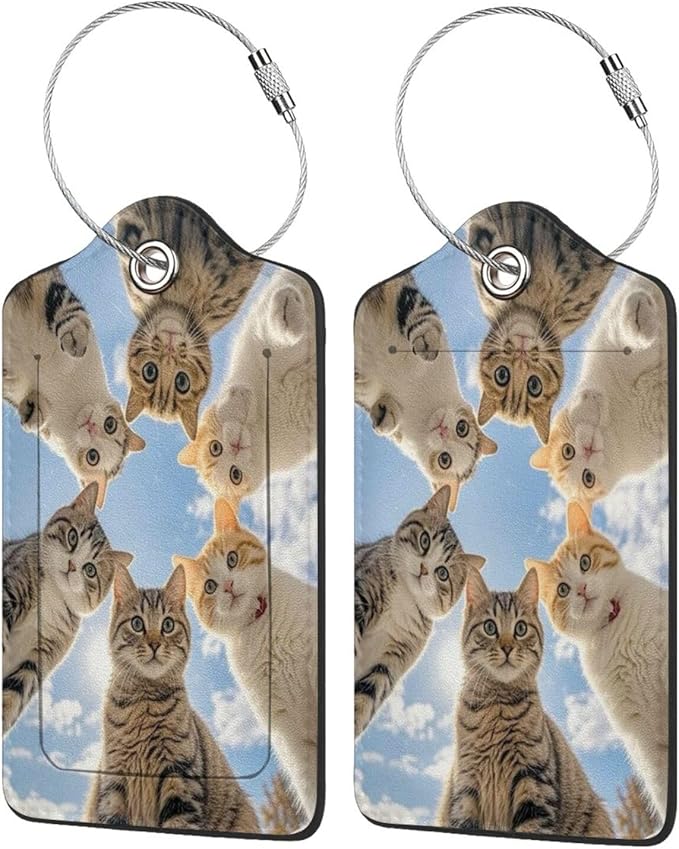 TSA Approved Luggage Tags for Suitcases Cats 2 Pack Funny Leather Carnival Cruise Airport Cute Travel Name Tags Golf Bag tag Ships Essentials Privacy Cover ID Label for Women Men
