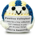 Mini Volleyball Ball Birthday Gifts for Men Women Volleyball Players,Funny Crochet Gifts for Volleyballs Lovers, Emotional Support Crochet