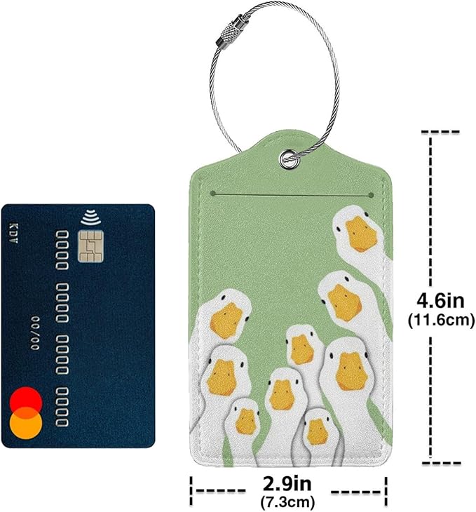 TSA Approved Luggage Tags for Suitcases 2 Pack Funny Silly Geese Watching Leather Carnival Cruise Airport Cute Travel Name Tags Golf Bag tag Ships Essentials Privacy Cover ID Label for Women Men