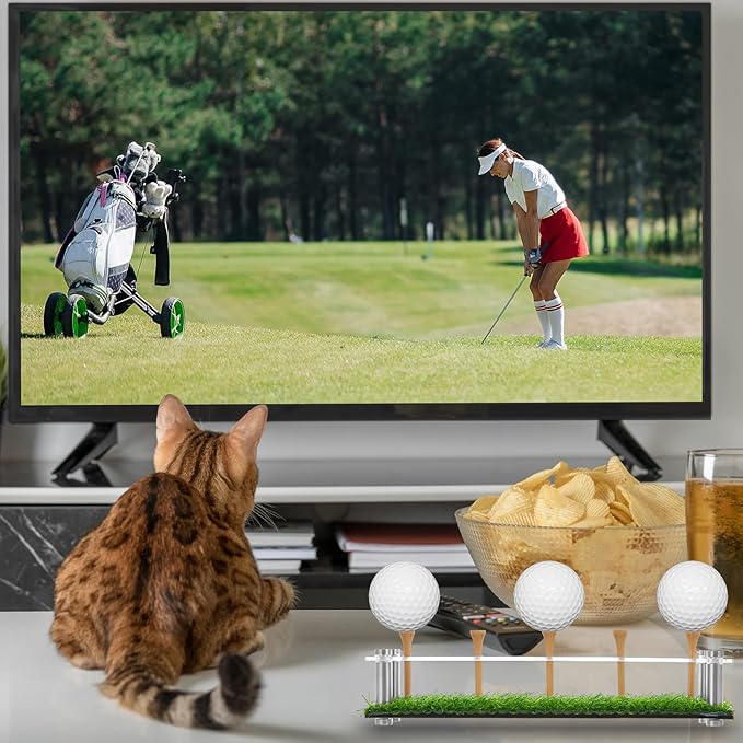 Menkxi Golf Ball Display Case Golf Ball Holder Stand Box with Black Base Acrylic Metal Turf Tee Memorabilia Show Decoration Office Gifts Decor(9.84 Inch)