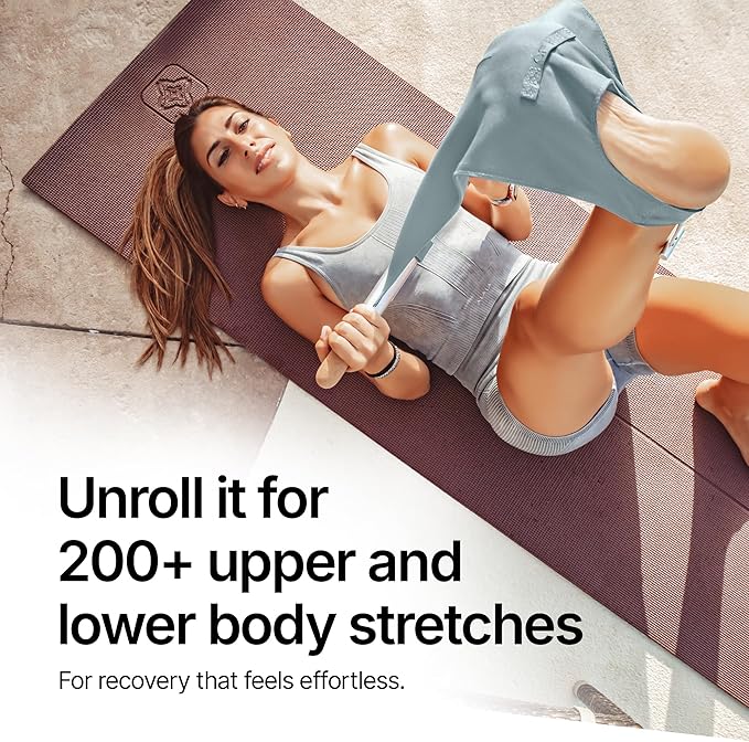 CastleFlexx Mobility and Full Body Strengthening Device