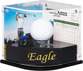 Golf Ball Display Case for Eagle Golfer. Black Ball Throne with Golden Stamp. 2X Background Frames on Each Side of Cambered Cover. Pencil Holder, Adhesive Dots are All Included, No Assembly