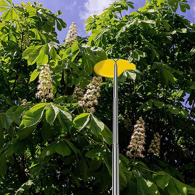 Disc Golf Retriever Pole Telescopic Disc Golf Tool with 3 Hooks Golf Discs Retriever for Water Disc Golf Accessories for Outdoor Disc Sports Starters 16FT
