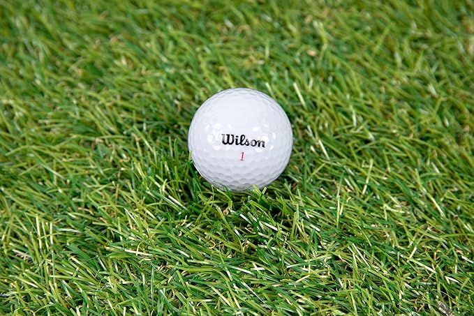 Clean Green 48 Pack Used Wilson Golf Balls – Recycled Mix for Practice & Casual Play – Great for Beginners & Budget Golfers – Includes Mesh Carry Bag and Models Like Triad, Staff, Duo Soft