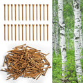 FINGER TEN Golf Tees Wood for Men Wooden Tee 1 1/2 2 3/4 3 1/4 Inch Western Birch Value 100 Pack, Reduce Friction Spin Tall Sturdy Base for Stability Long-Lasting Durability