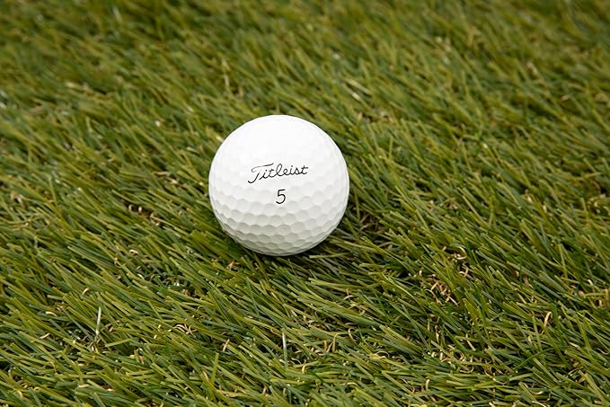 Clean Green Golf Ball Mix - 50 Titleist Pro V1 and V1x Recycled and Used Balls - Includes Mesh Carrying Bag - Good Condition