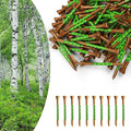 Amy Sport Golf Tees Western Birch Wood 5X More Durable 5X Stronger Value 50 Pack 1 1/2 2 3/4 3 1/4 Inch, Reduce Friction Wooden Long-Lasting, Spin Tall Sturdy Base for Stability