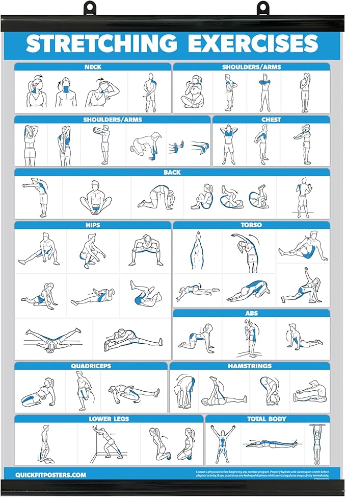 Palace Learning QUICKFIT Stretching Workout Exercise Poster - Stretch Routine (Laminated with Plastic Frame, 18" x 24")