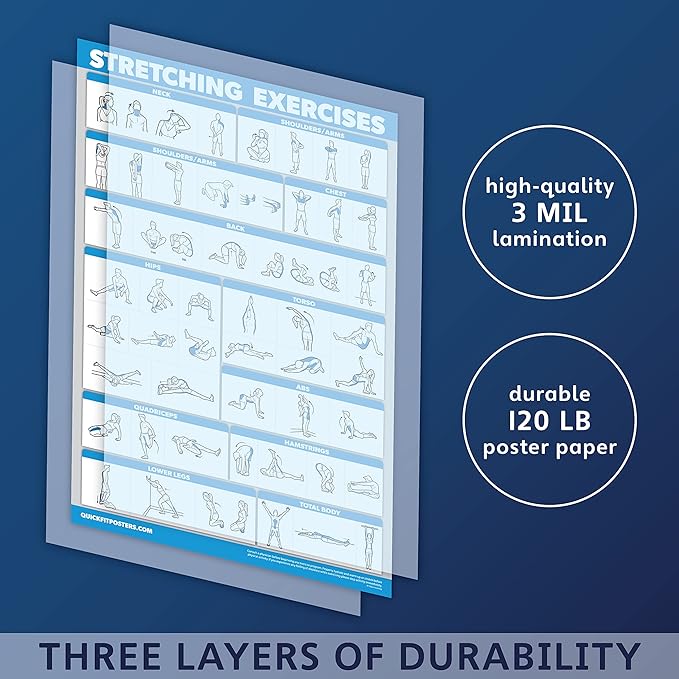 Palace Learning QUICKFIT Stretching Workout Exercise Poster - Stretch Routine (Laminated, 18" x 24")