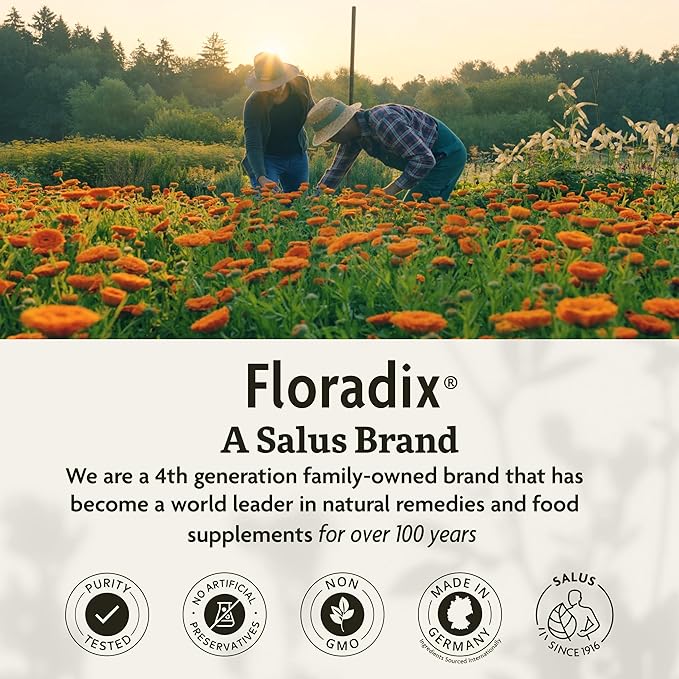 Floradix Iron Tablets - Iron Supplement with B Vitamins, Folic Acid, Vitamin C & More - Energy Support - Vegetarian & Gluten-Free - 120 Tablets (120 Servings)