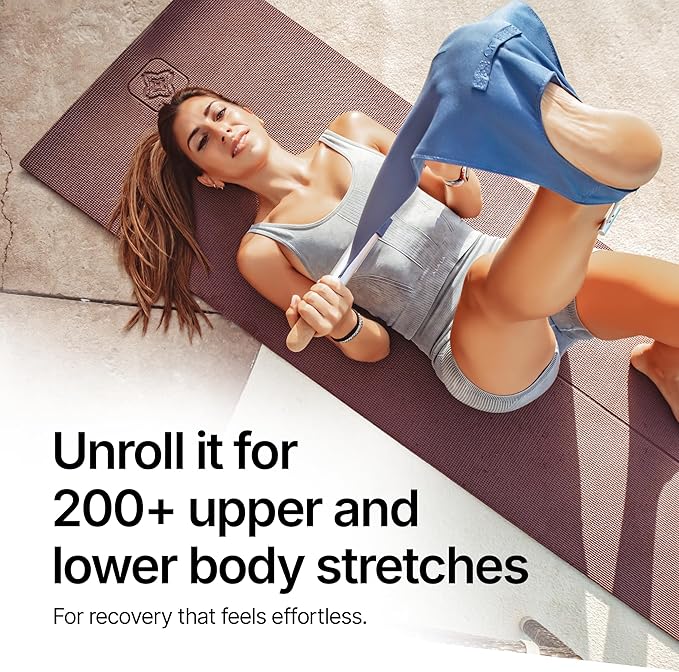 CastleFlexx Mobility and Full Body Strengthening Device