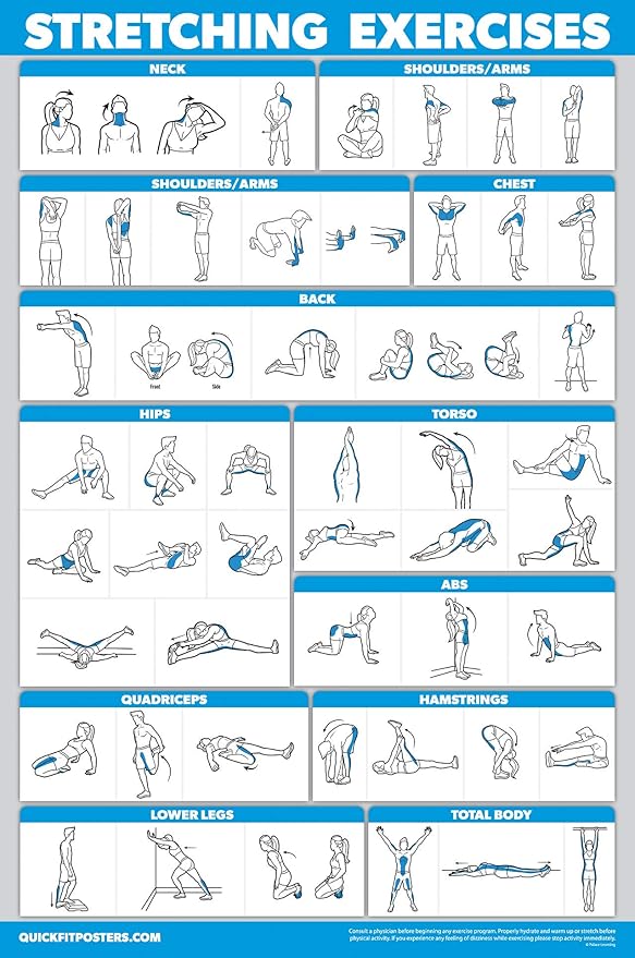 Palace Learning QUICKFIT Stretching Workout Exercise Poster - Stretch Routine (Laminated, 18" x 24")