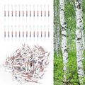 FINGER TEN Golf Tees Wood for Men Wooden Tee 1 1/2 2 3/4 3 1/4 Inch Western Birch Value 100 Pack, Reduce Friction Spin Tall Sturdy Base for Stability Long-Lasting Durability