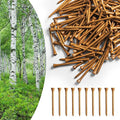 Amy Sport Golf Tees Western Birch Wood 5X More Durable 5X Stronger Value 50 Pack 1 1/2 2 3/4 3 1/4 Inch, Reduce Friction Wooden Long-Lasting, Spin Tall Sturdy Base for Stability
