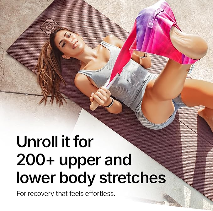 CastleFlexx Mobility and Full Body Strengthening Device