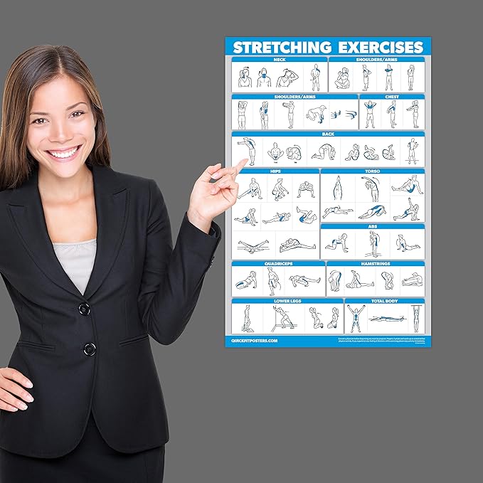Palace Learning QUICKFIT Stretching Workout Exercise Poster - Stretch Routine (Laminated, 18" x 24")
